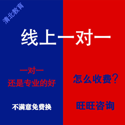 一对一在线线上辅导老师答疑查漏补缺培优补差网课真人培训