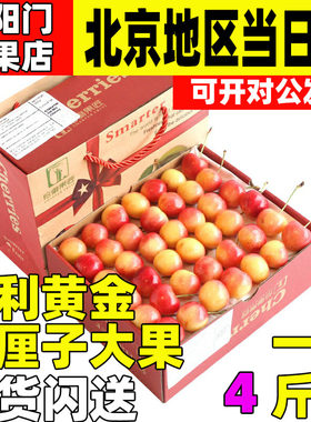 礼盒装5斤智利金车大果4J