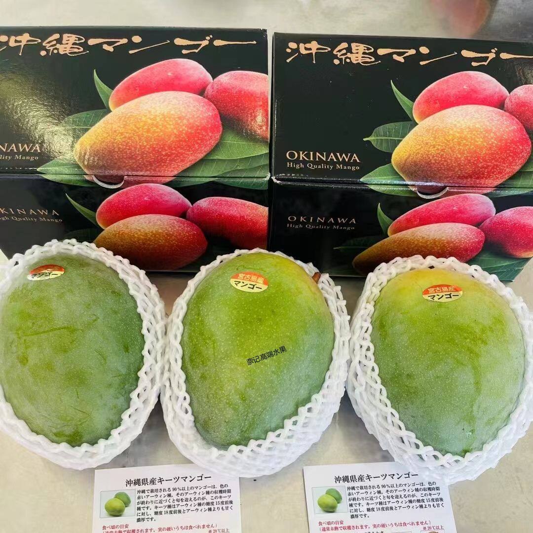 冲绳宫古岛·完熟大青芒特大果节日送礼水果礼盒香甜糯芒果应季