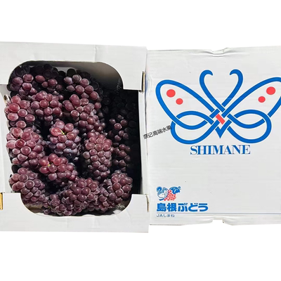 日本水果高端礼盒整箱送礼