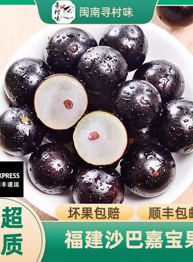 顺丰树葡萄鲜果现摘罕见稀有新鲜孕妇水果福建嘉宝果泡酒沙巴