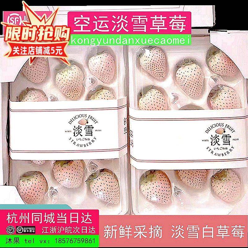 【顺丰空运】淡雪奶油白草莓新鲜水果高端礼盒节生日礼物非丹东99