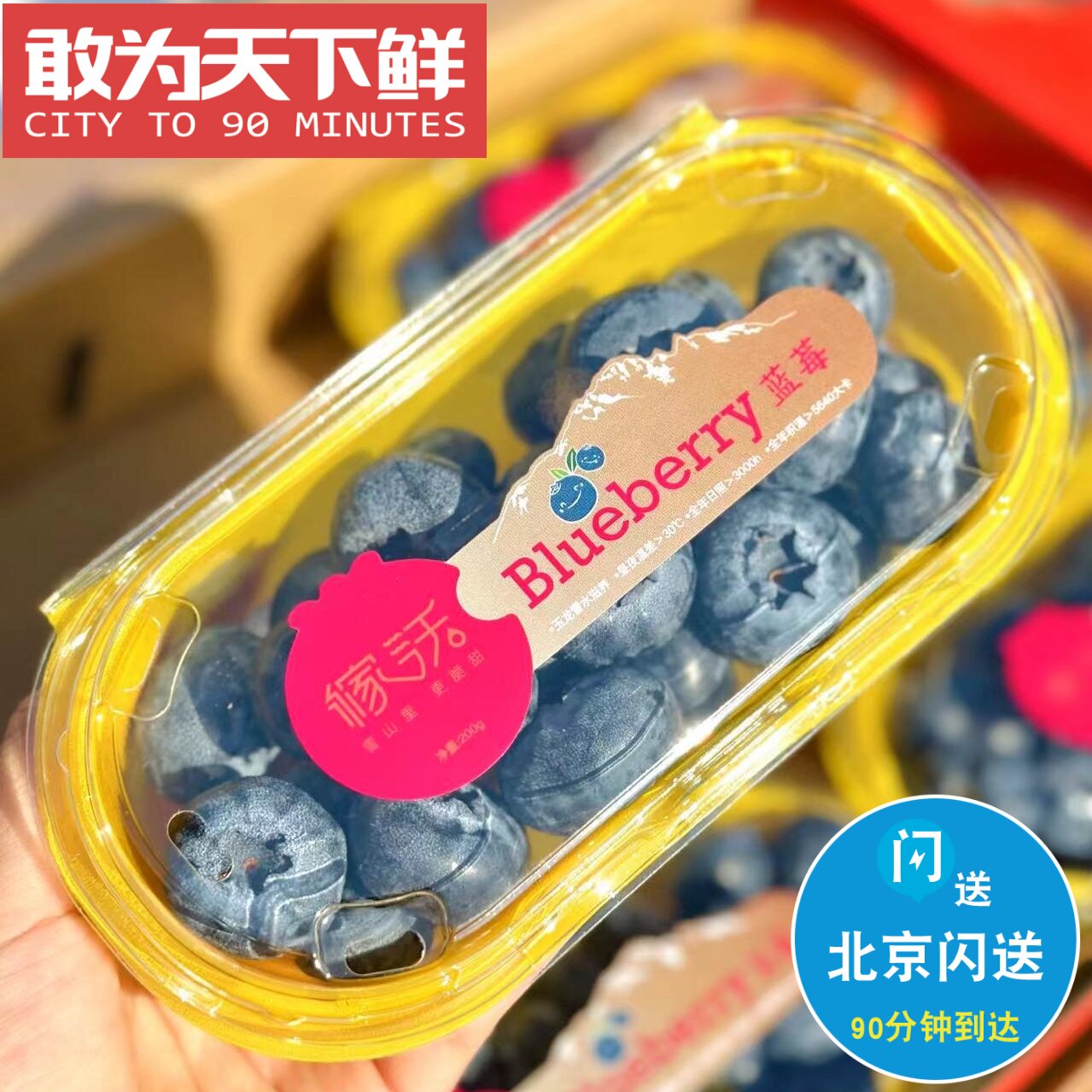 蓝莓浓仅限纯甜1200g花香巨无霸闪送云南北京上玉龙雪山稼沃