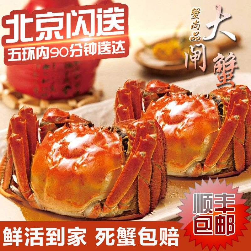 阳澄湖固城湖舟山大闸蟹梭子蟹