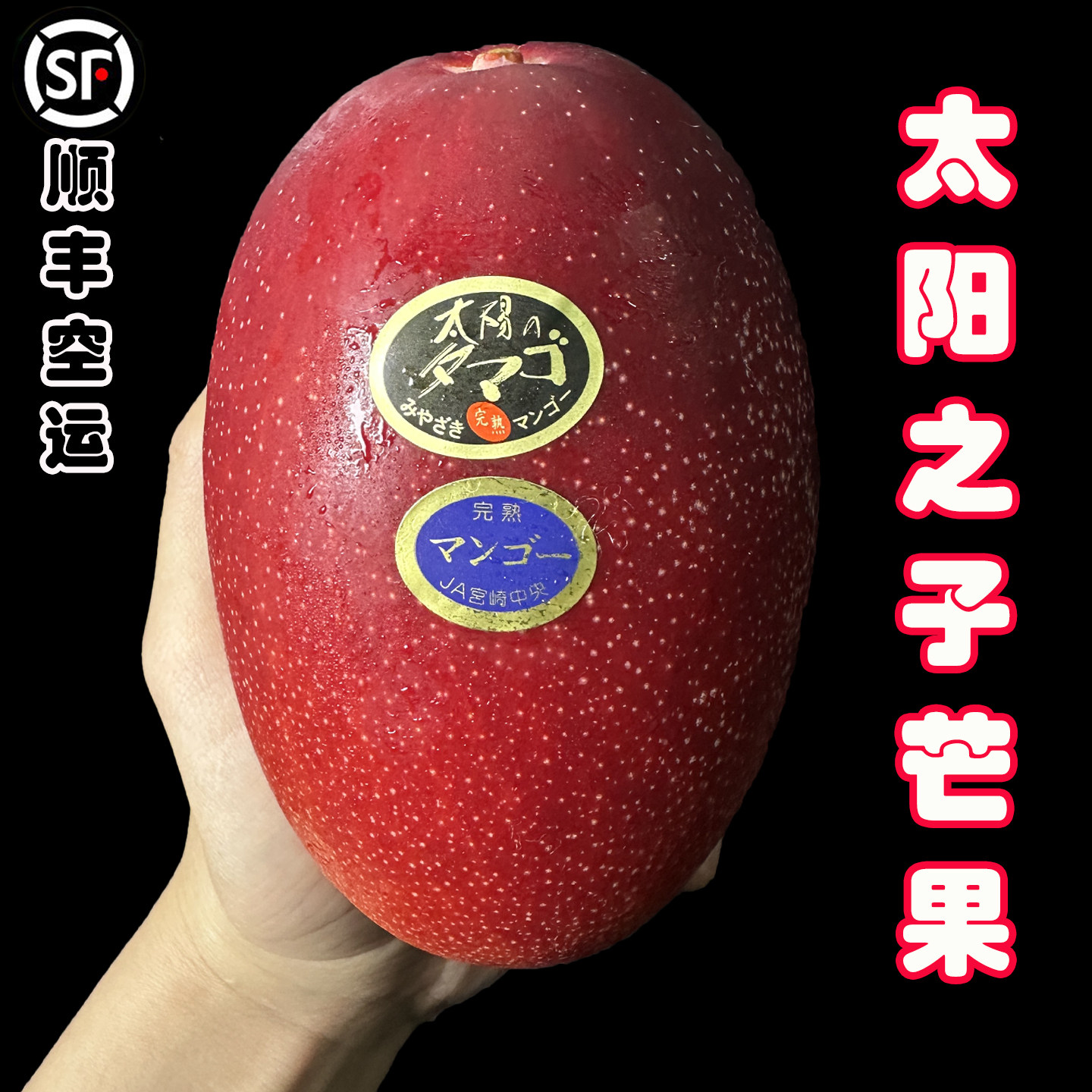 宫崎芒果软糯甜蜜多汁两颗三颗装礼盒包装新鲜水果
