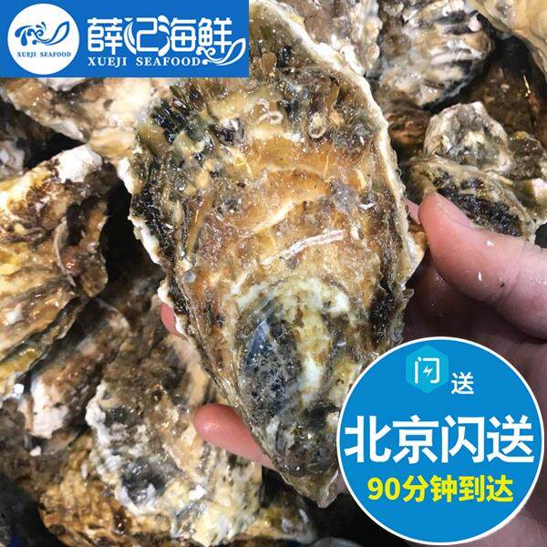 单只装 北京闪送 鲜活乳山生蚝 牡蛎海蛎子 烧烤 海鲜水产