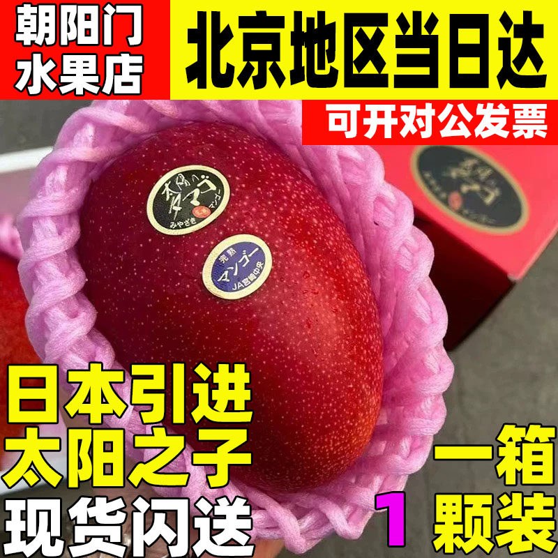 日本进口芒果树上完熟芒果