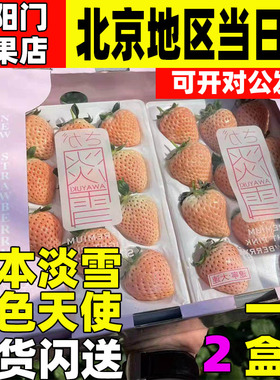 日本淡雪橙色天使AE白色草莓礼盒水果过节日送礼女朋友礼品礼物