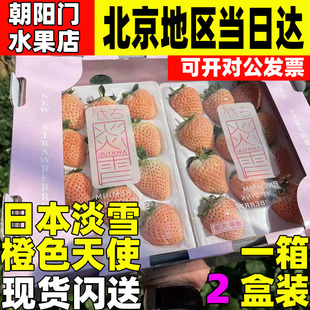 日本淡雪橙色天使AE白色草莓礼盒水果过节日送礼女朋友礼品礼物
