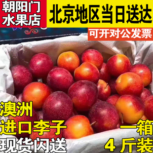 澳洲樱桃李1盒进口李子4斤樱桃味小李子超甜孕妇水果顺丰空运
