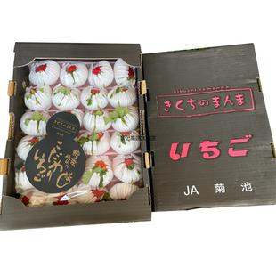 应季女朋友礼盒宝宝草莓日本菊池品种水果草莓奶油多汁纯甜蜜糖