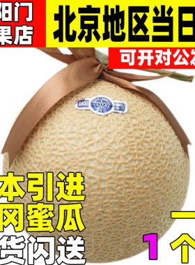 日本高端静冈当季水果整箱现货