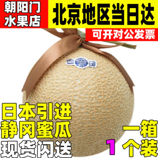 日本引进静冈蜜瓜温室种植1颗 高端水果礼盒现货国产蜜瓜日料店