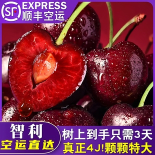 Dole智利进口Kordia都乐车厘子3j科迪亚车厘子4j5j应季 水果孕妇