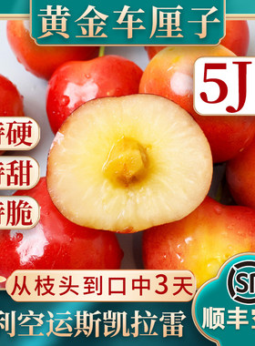 智利斯凯拉雷5J黄金车厘子礼盒