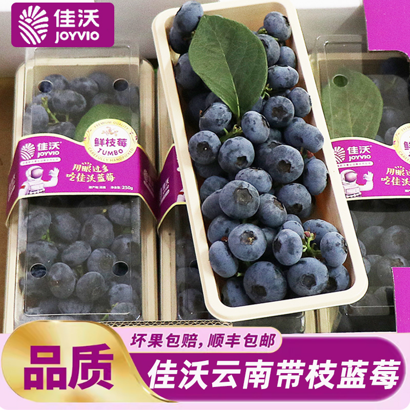 串果蓝莓鲜果250g/盒装云南带枝甜蓝莓新鲜孕妇水果顺丰