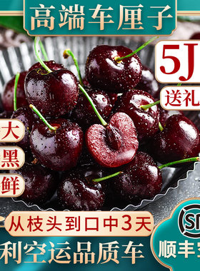 智利桑提娜车厘子5斤顺丰空运