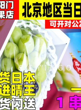 日本引进冈山晴王礼盒香印青提麝香葡萄阳光玫青提水果新鲜顺丰包