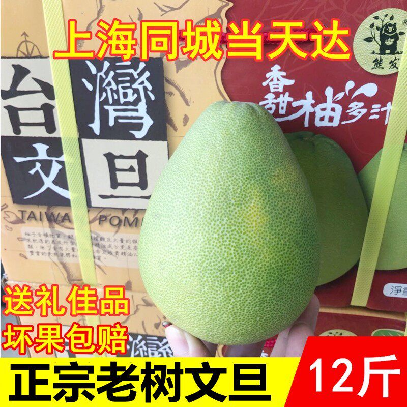 50年老树麻豆文旦柚子12斤礼盒