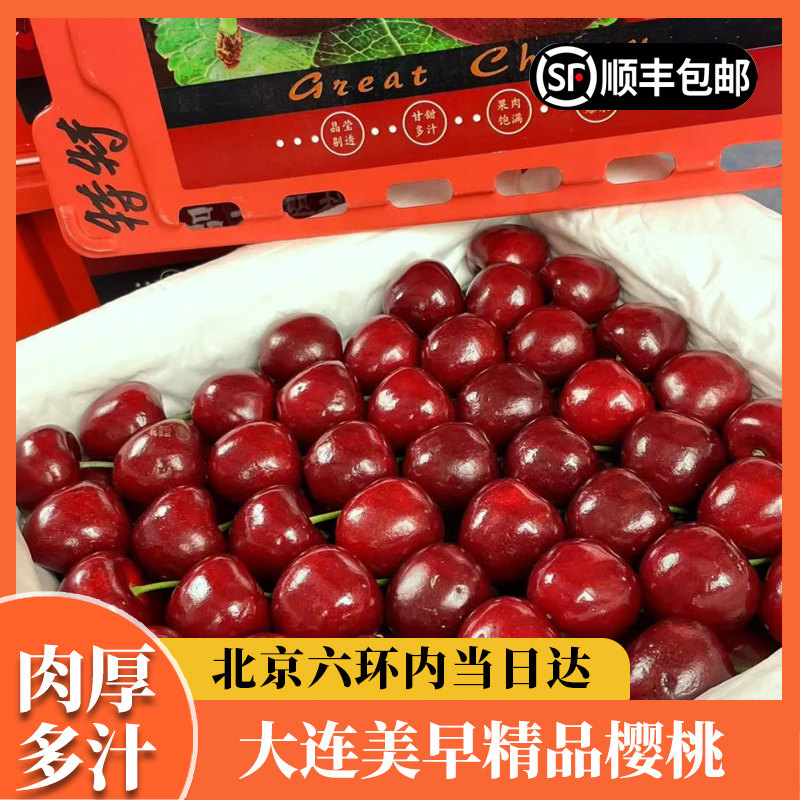 大连美早樱桃新鲜国产车厘子精品大樱桃新鲜水果现货顺丰