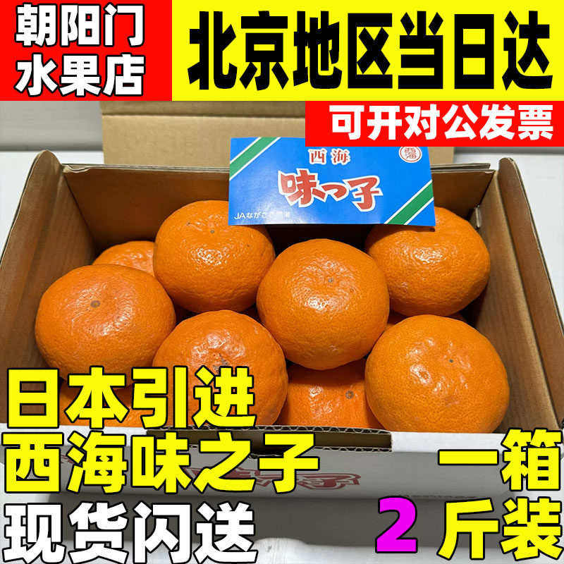 日本引进长崎西海味之子品种蜜桔网红同款细嫩多汁橘味十足孕妇