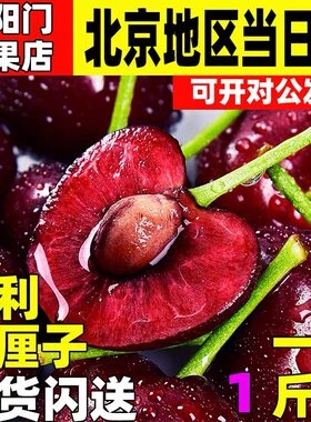 车厘子大连樱桃澳洲黑珍珠水果