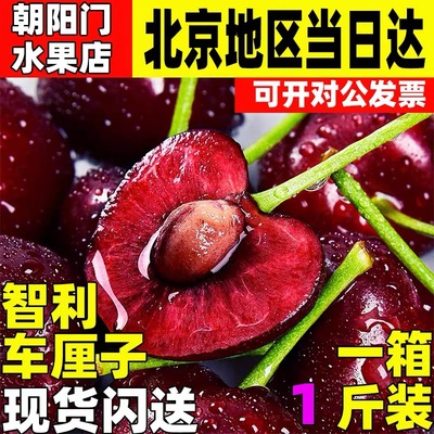 车厘子大连樱桃澳洲黑珍珠水果