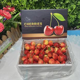 美国黄车厘子斯卡拉雷金车新鲜黄金大樱桃高端水果现货顺丰