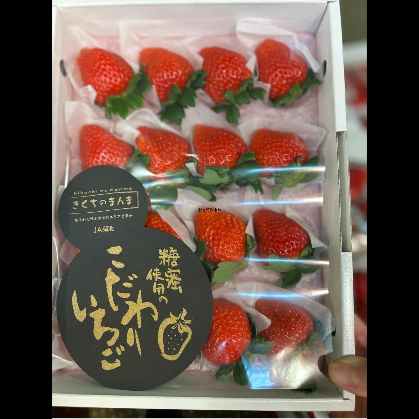 草莓节日情人节女朋友奶油红送水果纯甜菊池送礼草莓礼盒熊本蜜糖