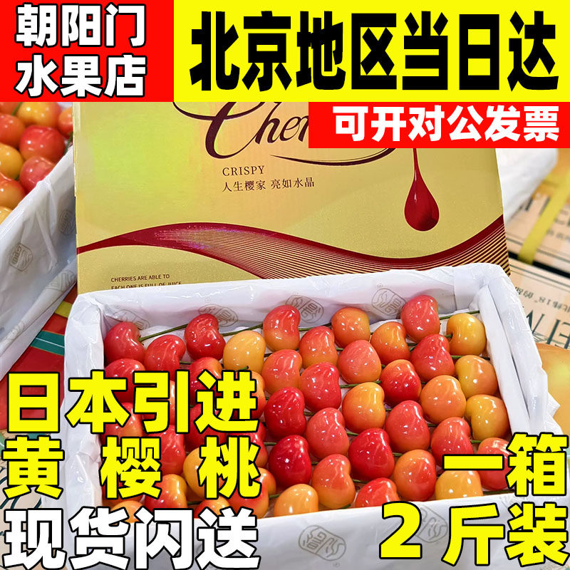 日本黄樱桃顺丰同城整箱