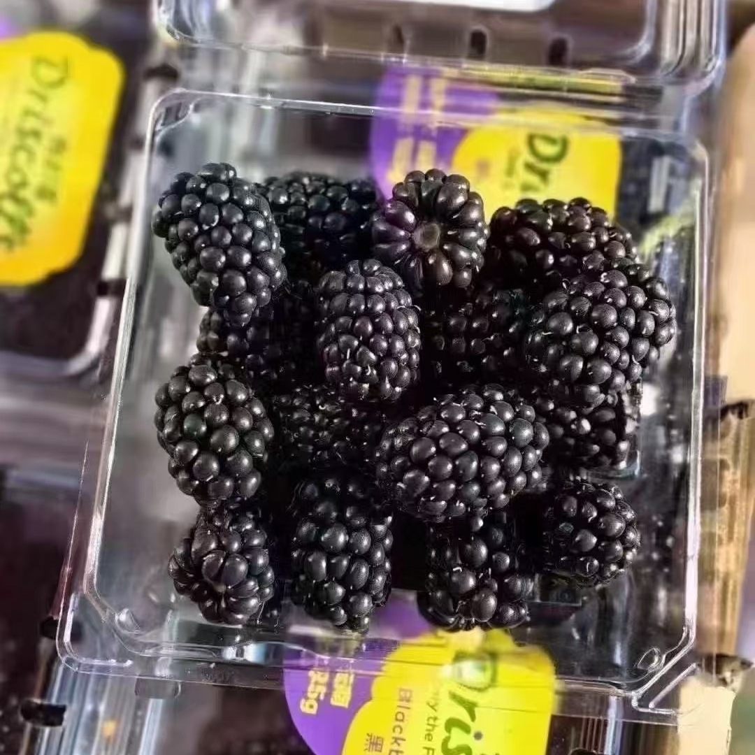 云南怡颗莓黑莓大果 12小盒共3斤 高端树莓桑葚鲜果覆盆子包闪送