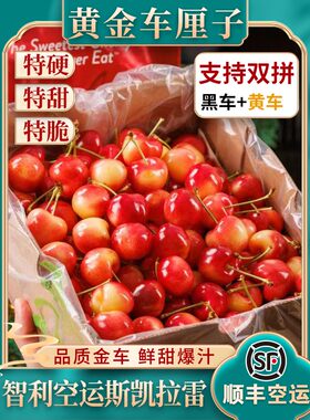 天空之城智利进口斯凯拉雷SkylarRae黄金车厘子大樱桃顺丰空运5j