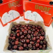 智利海运桑提娜大果车厘子进口樱桃新鲜水果高端礼品