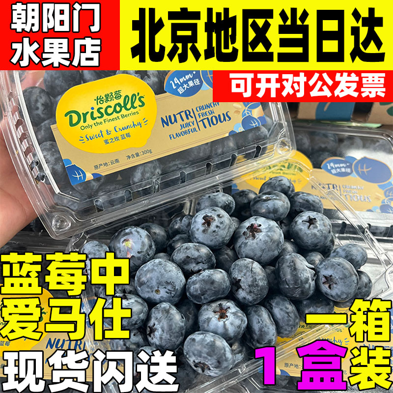 云南怡颗莓蓝莓王当季限量大果脆甜蓝莓宝宝辅食蓝莓水果限量版
