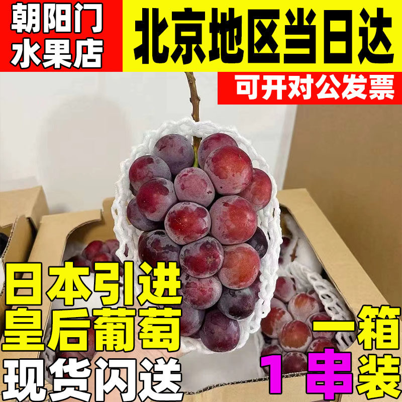 日本引进水果 山梨冈山非进口葡萄现货无籽晴王提子孕妇现货应季