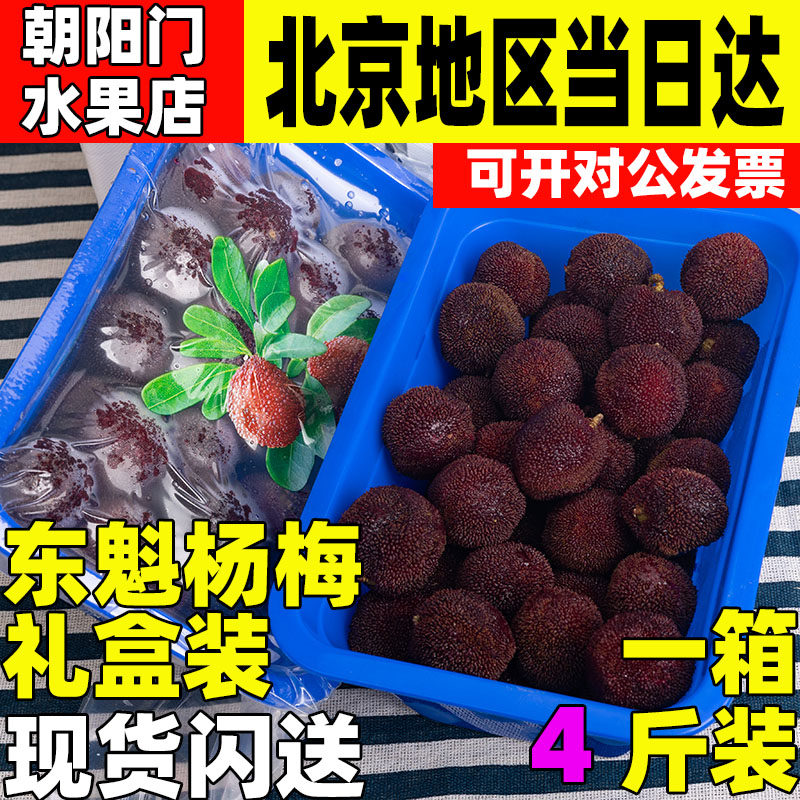 东魁杨梅4斤礼盒装新鲜杨梅鲜果酸甜大果时令水果杨梅