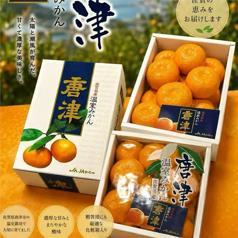 佐贺唐津蜜柑蜜橘桔子鲜嫩多汁日本佐贺蜜柑似品种进口国产送礼