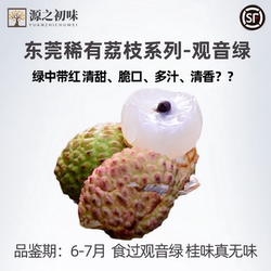 正宗东莞稀有荔枝系列【观音绿 现摘现发 荔枝中的贵族顺丰空运】