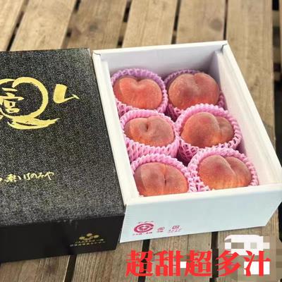 当季水果应季顺丰整箱礼盒