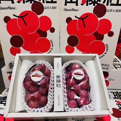 云南妮娜皇后葡萄青藤社新鲜水果当季现摘现发孕妇水果礼盒装顺丰