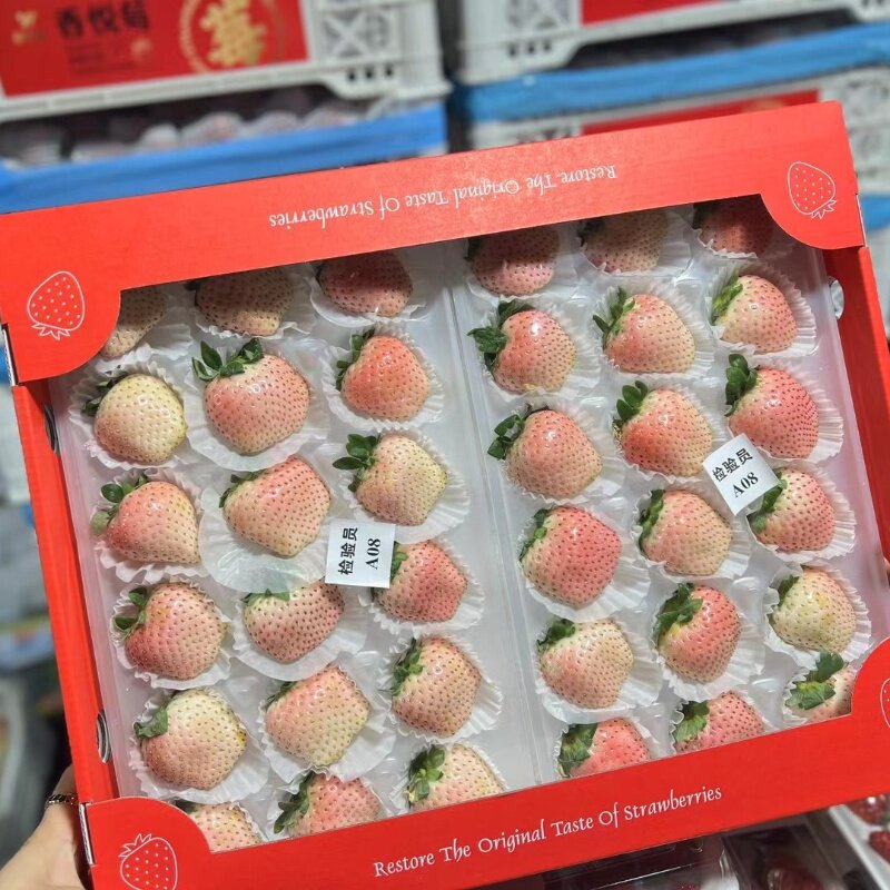 毅萃鲜淡雪粉玉草莓礼盒装新鲜当季时令水果市场孕妇顺丰川渝
