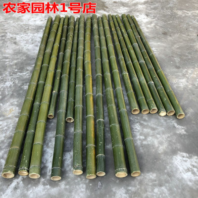 新鲜天然竹竿粗大竹子婚庆婚礼道具花艺装饰毛竹杆庭院3米4米绿色