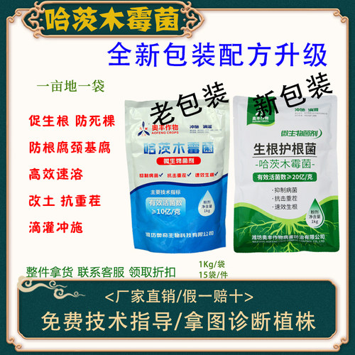 灰树花大概多少钱一斤灰树花的功效与作用 花卉种植 四季盆栽