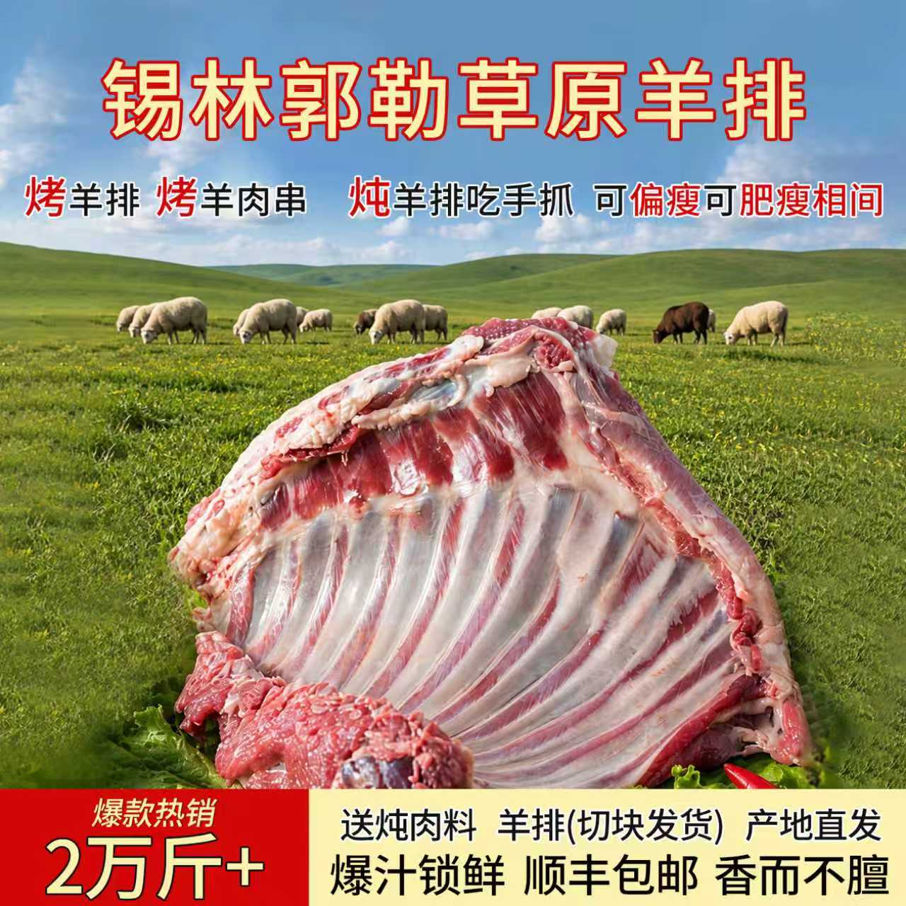 羊排6斤内蒙古羊肉新鲜 羊肋排冷冻手抓羊肉商用可整扇烧烤食材