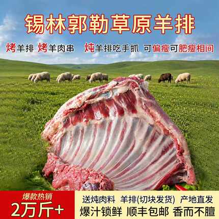 羊排6斤内蒙古羊肉新鲜 羊肋排冷冻手抓羊肉商用可整扇烧烤食材