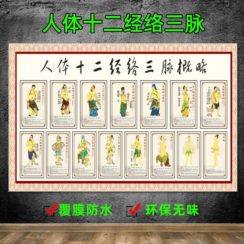 中医养生文化容装饰挂画人体十二经络穴位图大挂图12美容院海报