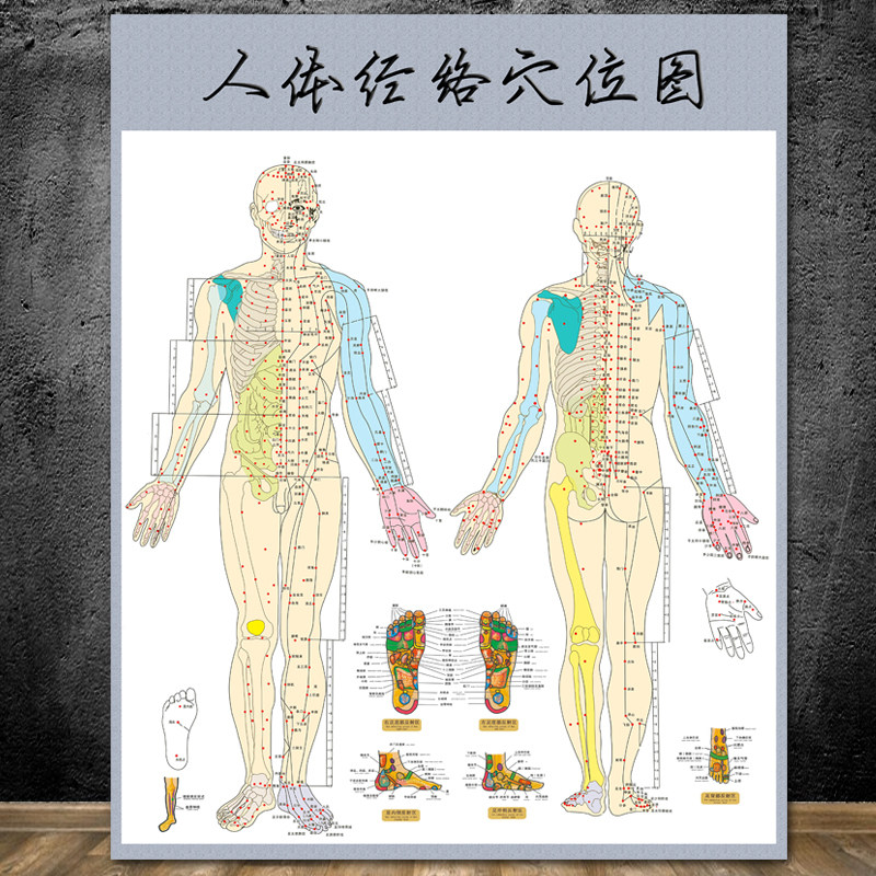针灸经络足部身体保健按摩穴位图