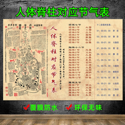 人体脊柱对应节气表修真图 中医养生馆装饰画经络穴位图宣传海报