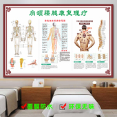 肩颈腰腿康复理疗海报疼痛背部脊柱疾病穴位按摩推拿挂图广告墙贴