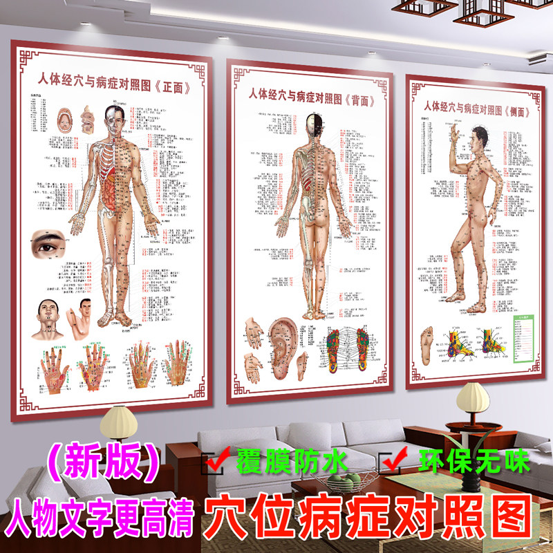 高清人体经络穴位标准大图全身中医养生艾灸推拿按摩背部针灸挂图